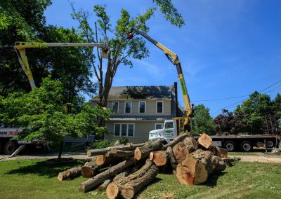 Tree Removal Jamestown