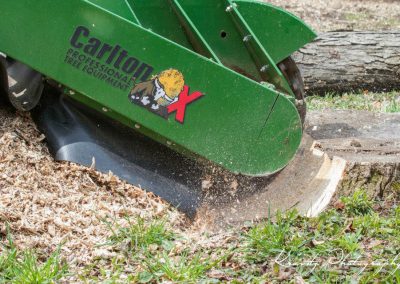 Remote Operated Stump Grinding